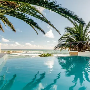 Camps Bay Terrace Palm Kapstadt